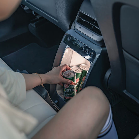 Tesla Model Y Fridge